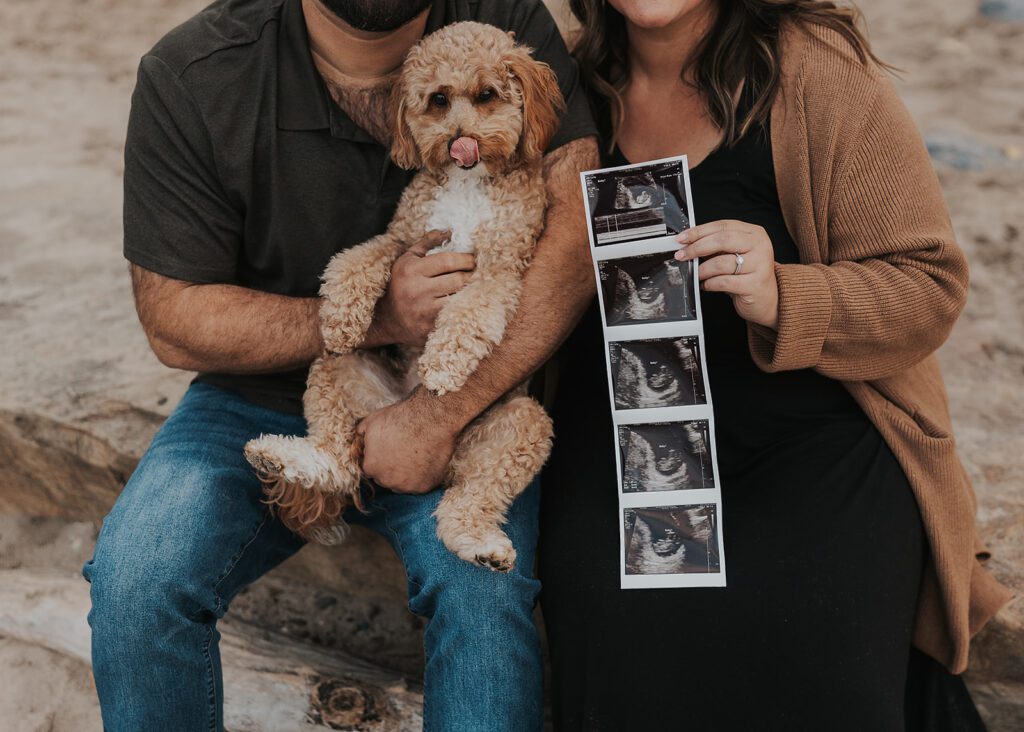couple holding dog and baby sonogram photo during their pregnancy announcement photoshoot